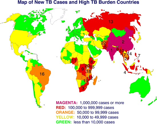 global map indicating the number of new tuberculosis cases per year for each nation and identifying the 22 high TB burden countries